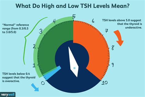 what does lower level mean